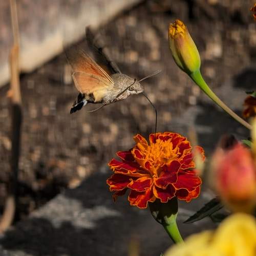 Photo #12897620