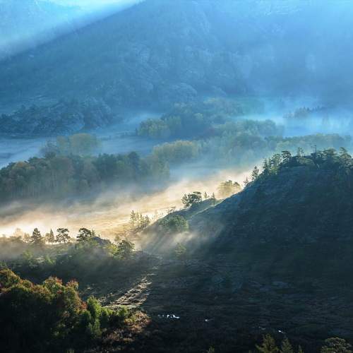 Photo #12897639