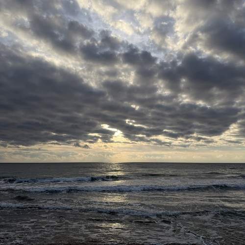 Photo #12897690