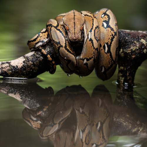 Photo #12897828