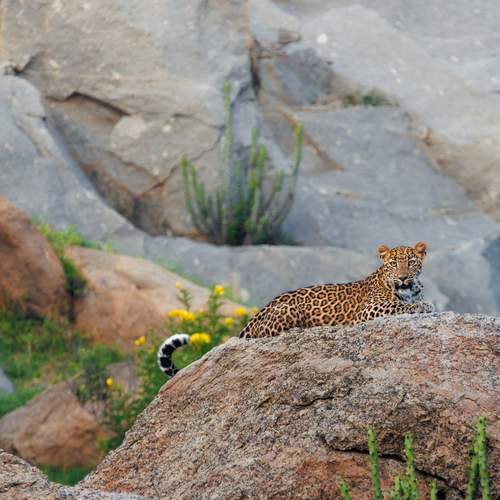 Photo #12898313