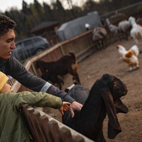 Photo #12898351