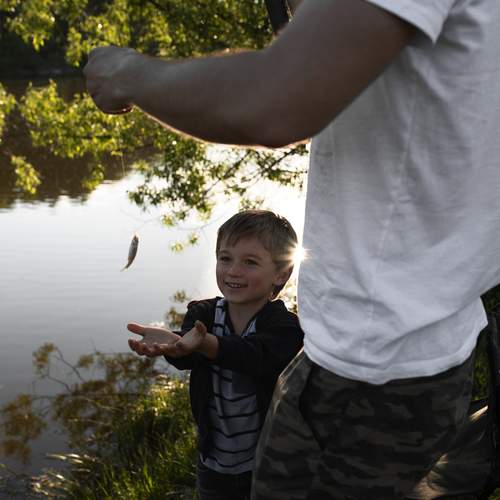 Photo #12898354