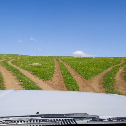 Photo #12898547