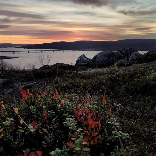 Фотография #12898666