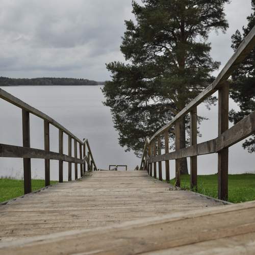 Photo #12898708