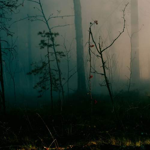 Photo #12898837
