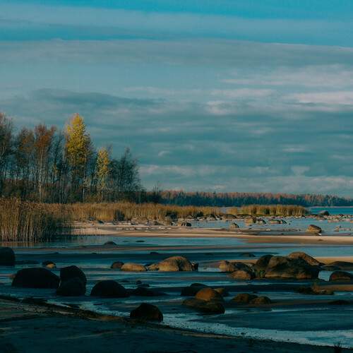 Photo #12898839