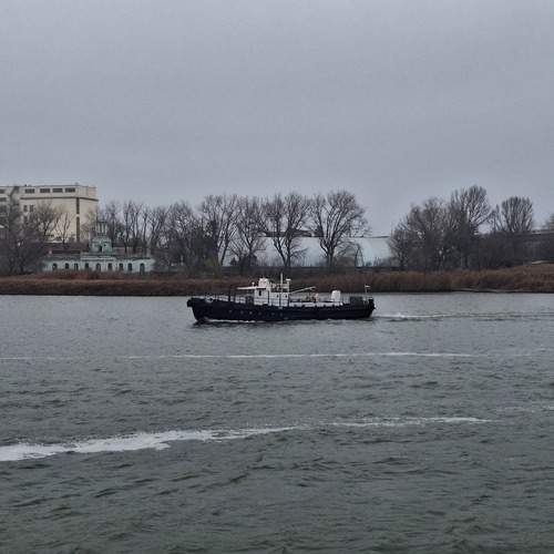 Photo #12898938