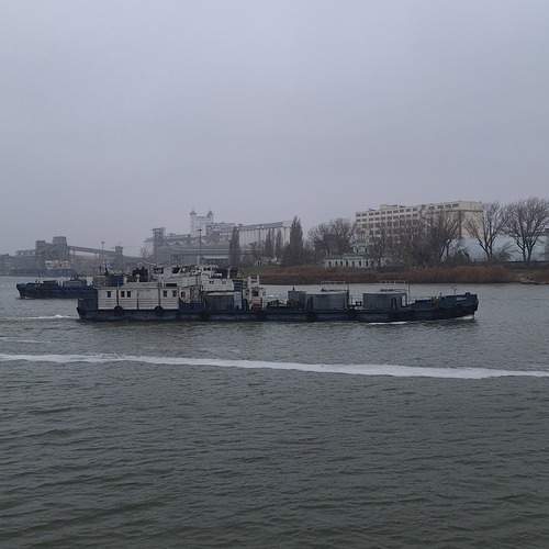 Photo #12898949