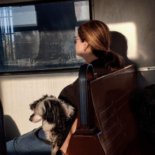 Photo #12899054