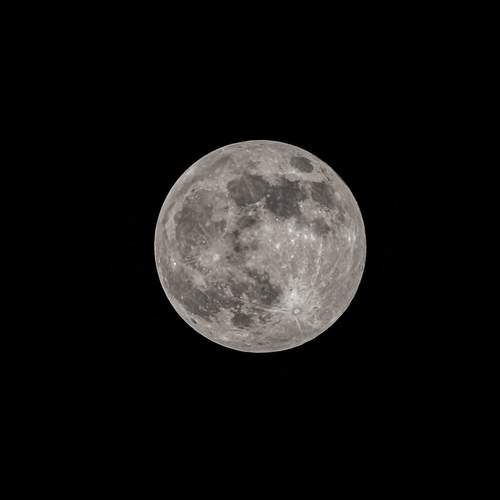 Photo #12899106