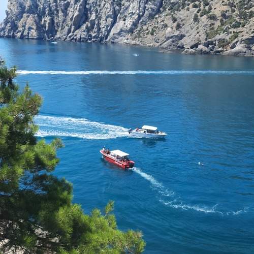 Photo #12899454
