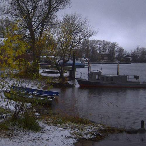 Photo #12899687