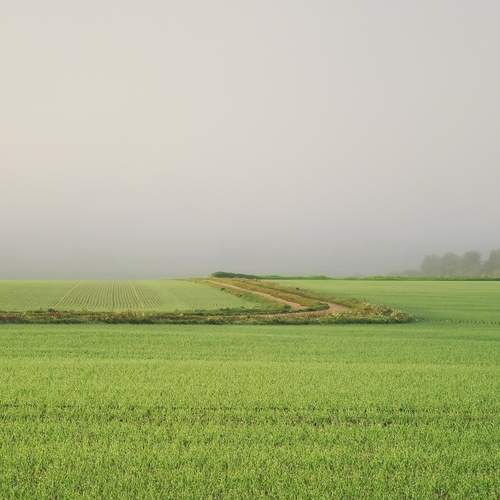 Photo #12899842