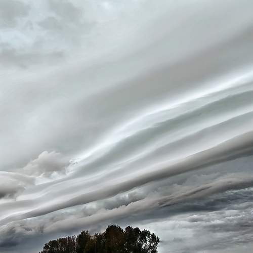 Shelf Type Arcus Cloud