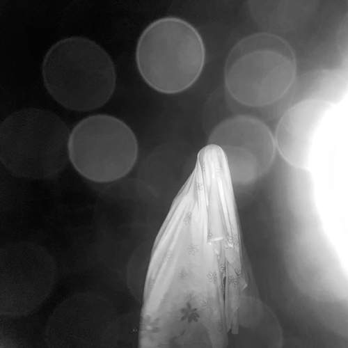 Photo #12899953