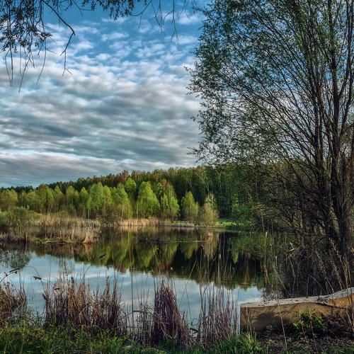 У вечернего озера.