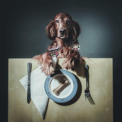 Бизнес ланч \ Business lunch