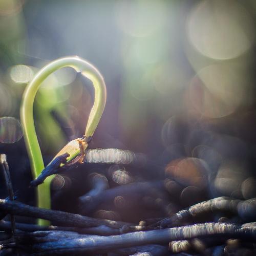 Photo #1293788
