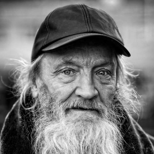 Портрет седого мужчины / Old man portrait