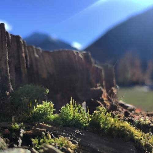 Малое в большом, большое в малом