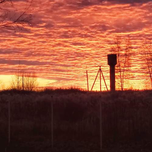 Photo #12900202