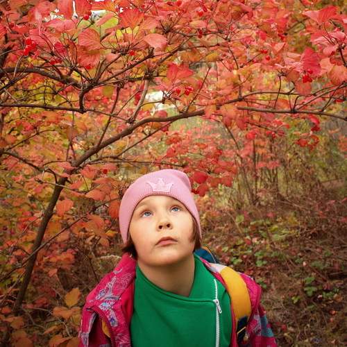 Photo #12900263