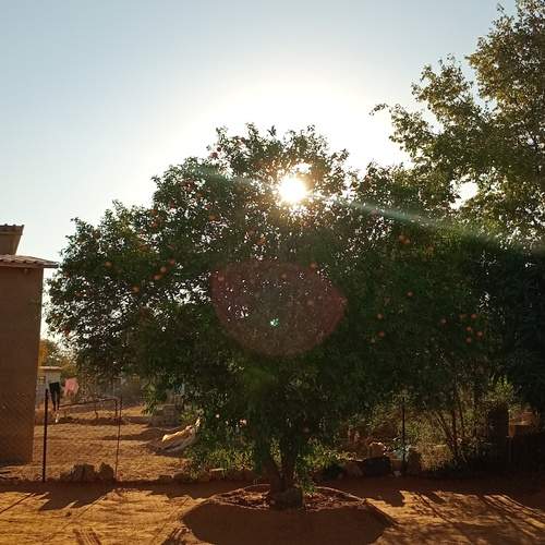 Photo #12900655