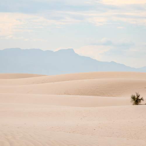 Photo #12900710