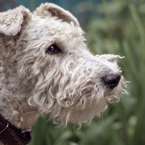 Photo #12900756