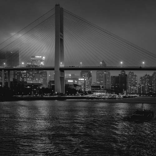 Photo #12900787