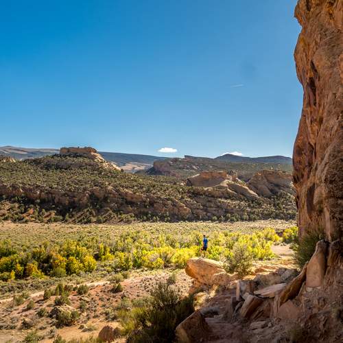 Photo #12900796