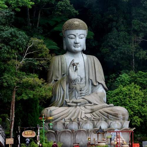 Photo #12900854