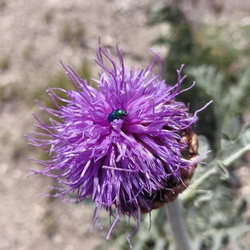 Photo #12900981