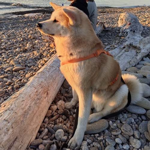 Photo #12900989