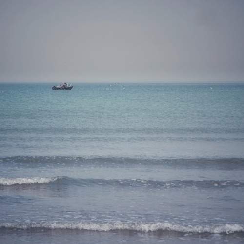 Photo #12901134