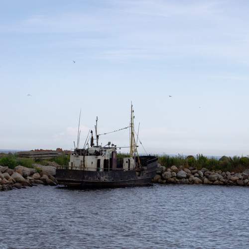 Photo #12901278