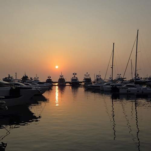 Photo #12901320