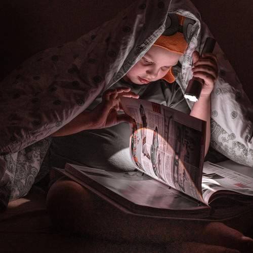Photo #12901472