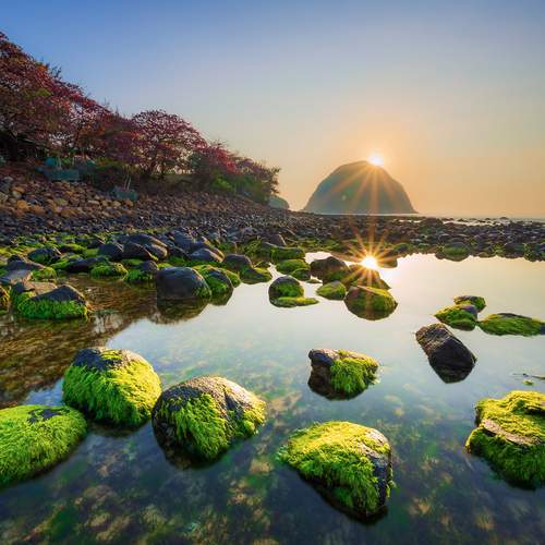 Spring colors on Hon Yen Island