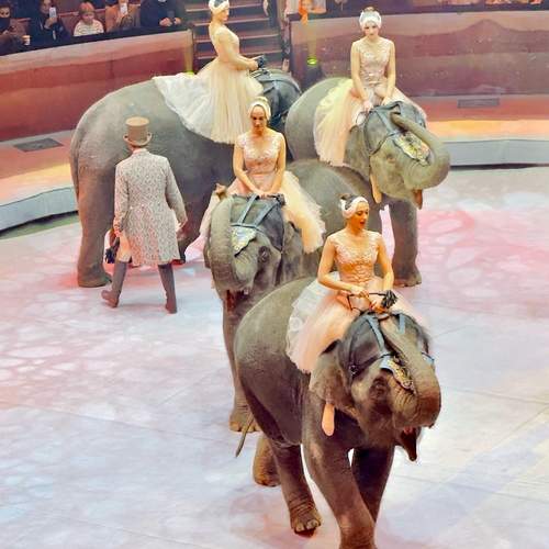 Фотография #12901906