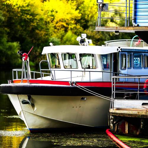 Фотография #12902087