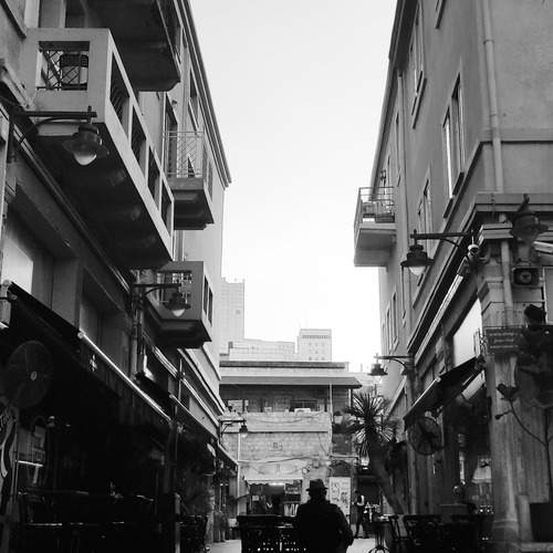 Photo #12902420