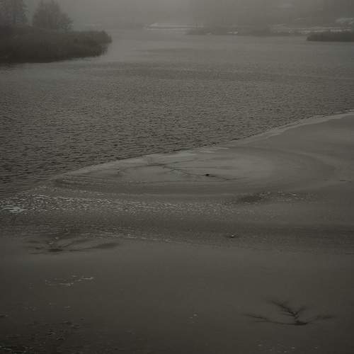 Photo #12902470