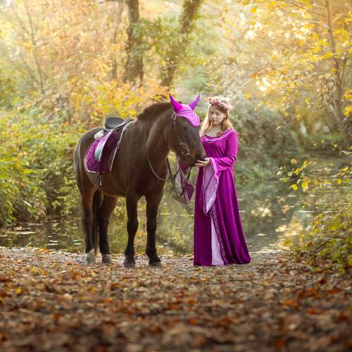 Photo #12902730