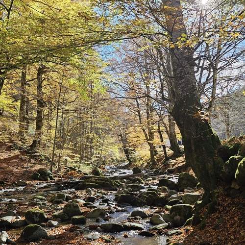 Photo #12903593