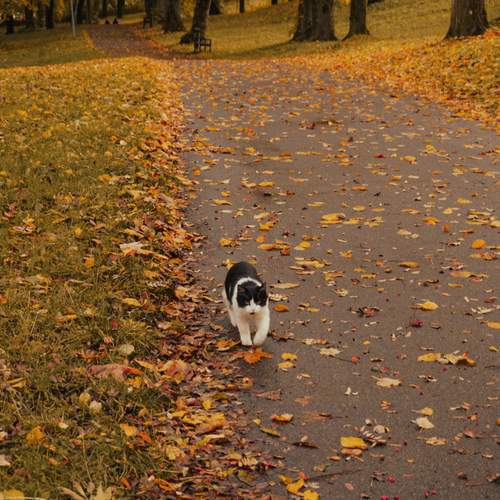 Photo #12904081
