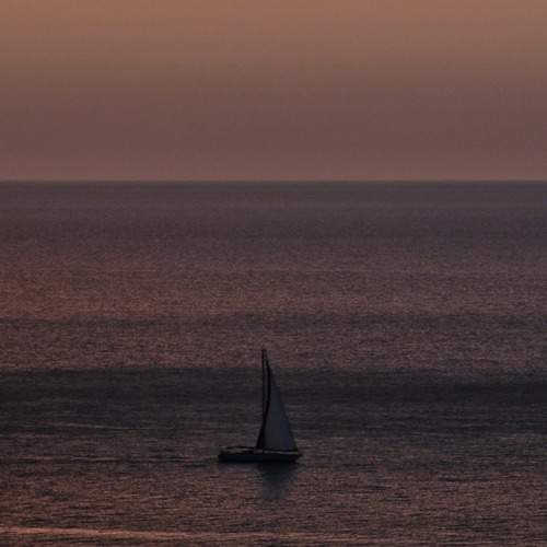 Photo #12904417