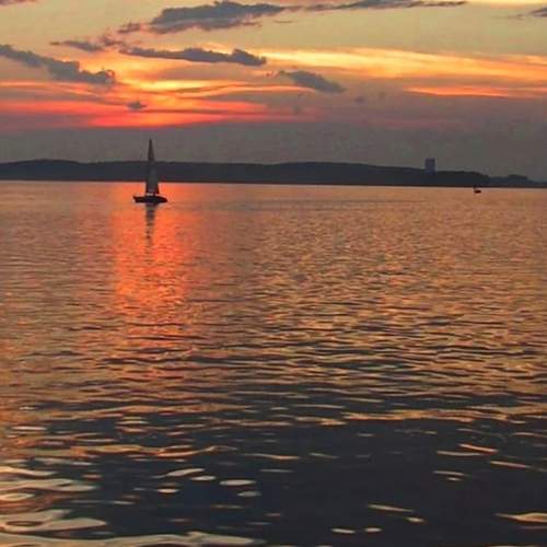Photo #12904564
